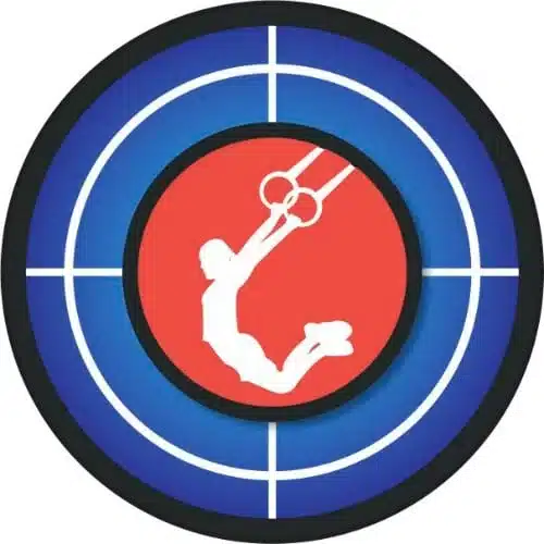 Custom Wall Ball Targets for CrossFit, logo & color options, 12" or 16" diameter.