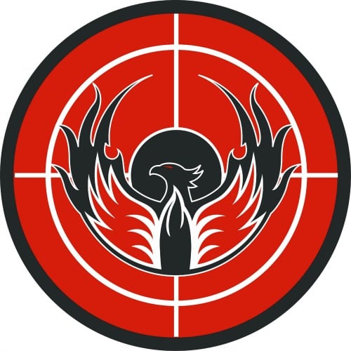 Personalized Wall Ball Targets for gyms, customizable with logo, 12" or 16" size.