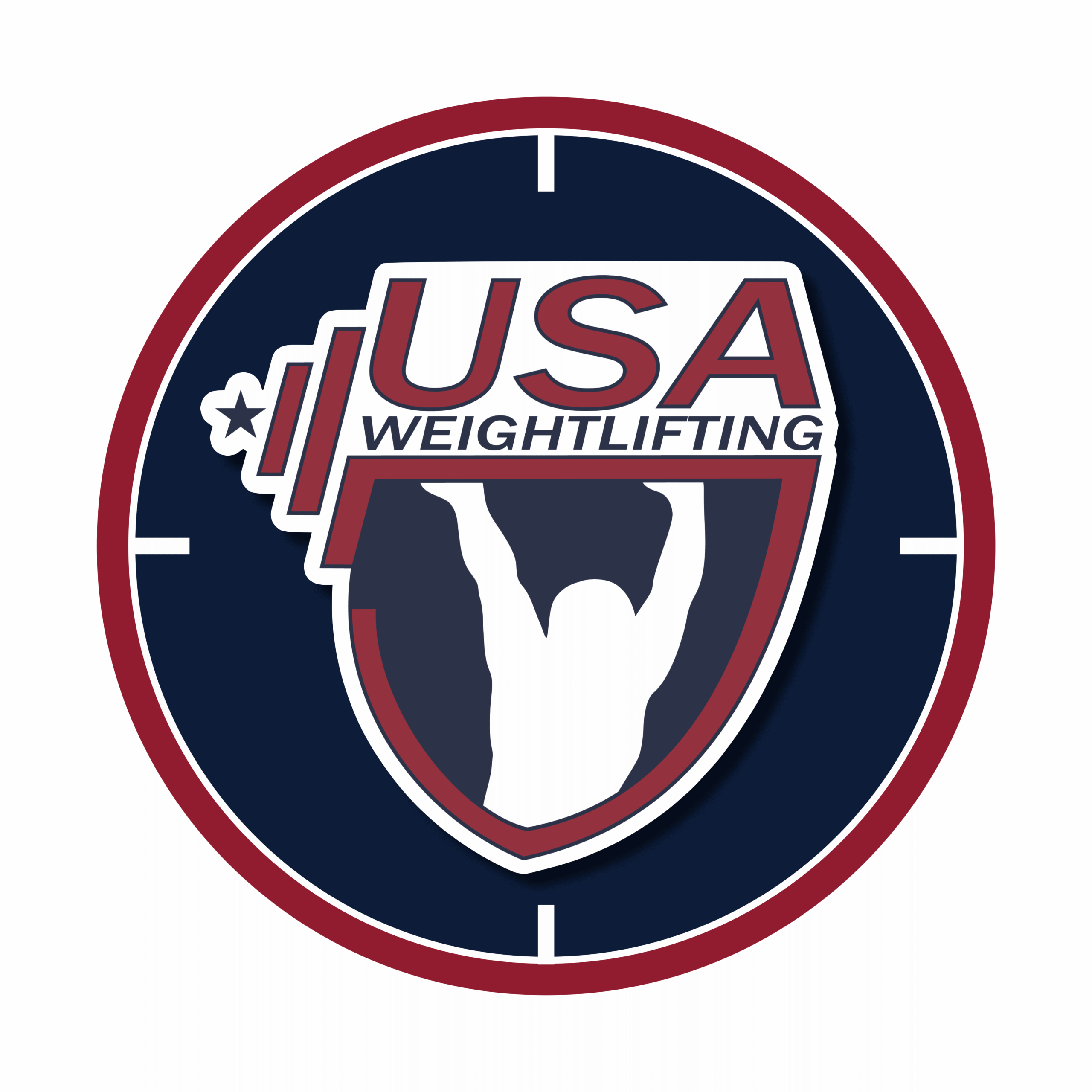 Custom USAW Wall Ball Targets with logo and colors