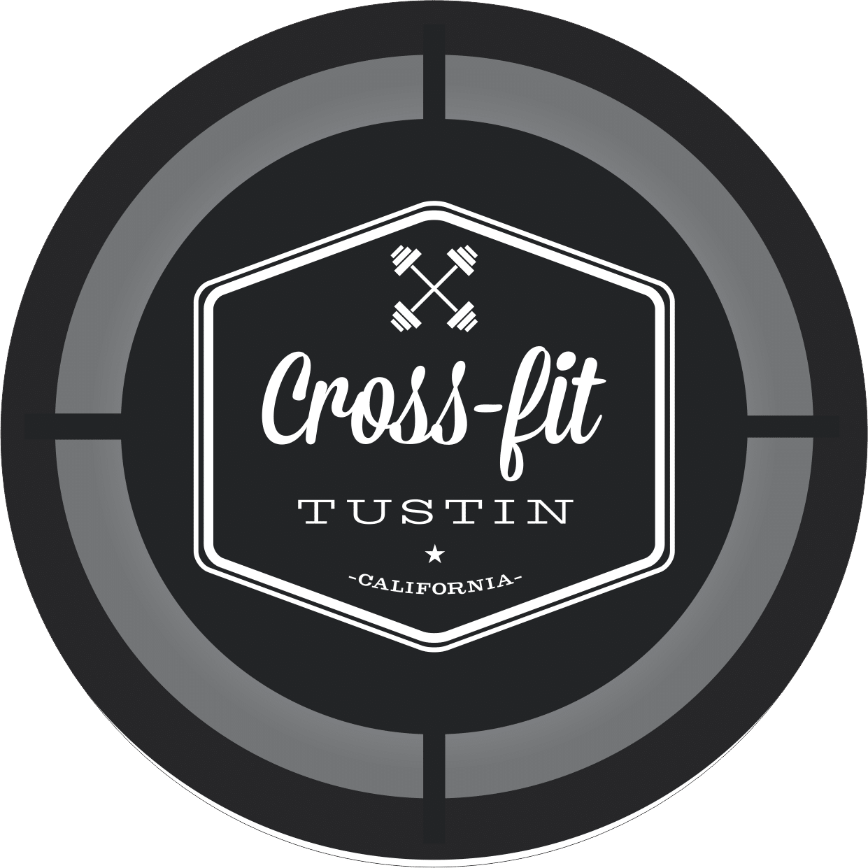 Custom Wall Ball Targets for CrossFit with logo and color options, 12" or 16" diameter.