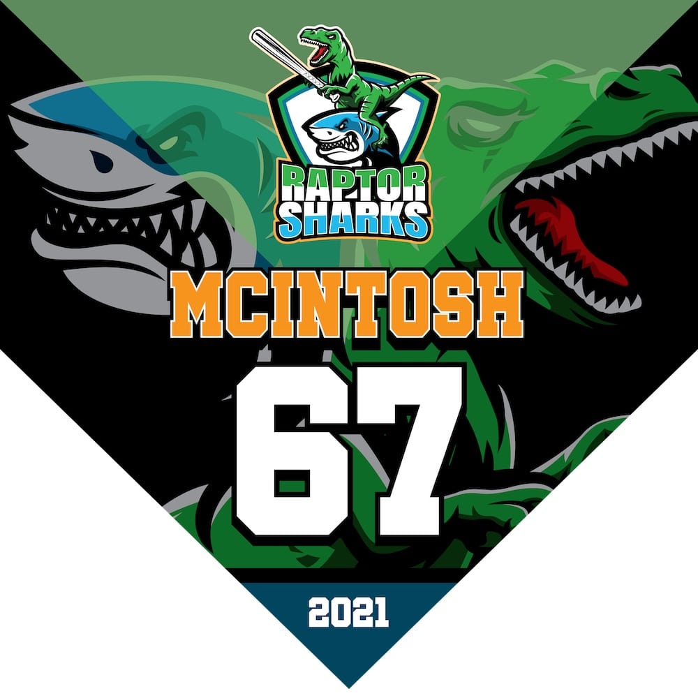 Baseball pennant banner styled for athletic events with classic visual design